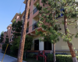 View of a multi-story residential building in a suburban area, featuring a pale peach facade with balconies, surrounded by tall pine trees and lush greenery